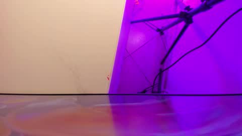 Roxane online show from February 25, 8:18 am