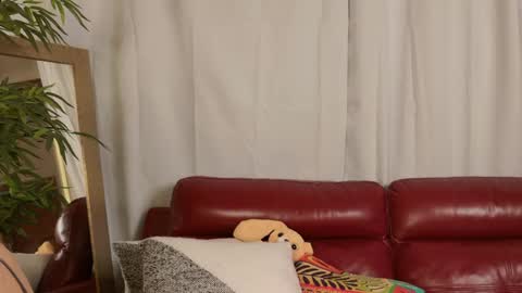 Roxi online show from February 19, 7:40 am