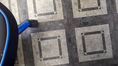 SkankyNuggey online show from November 14, 4:09 pm