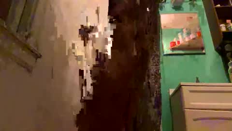 rp131313 online show from March 21, 1:33 am