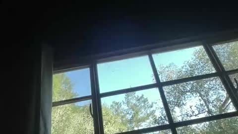 rubywavesback online show from February 6, 7:05 pm