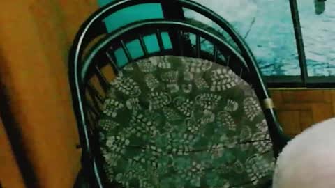 runnnaz online show from October 14, 1:30 am