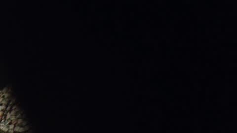 Tanyushka online show from November 30, 12:12 pm