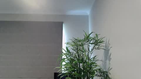 Ryan online show from March 11, 1:08 am