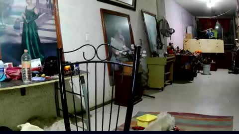 ruby  chocoholic cakeholic coffeeholic cookieholic online show from November 18, 12:13 am