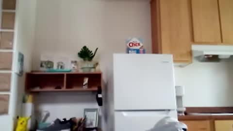 salis1981 online show from February 9, 8:44 pm