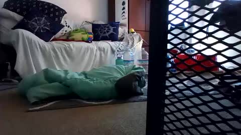 salis1981 online show from February 7, 12:31 am