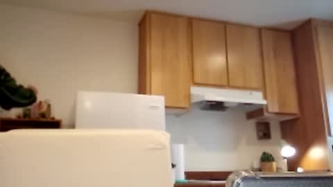 salis1981 online show from March 2, 5:36 pm