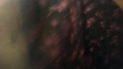 salmonman1305 online show from January 17, 11:49 am