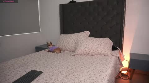 salomedyla online show from April 16, 9:39 pm