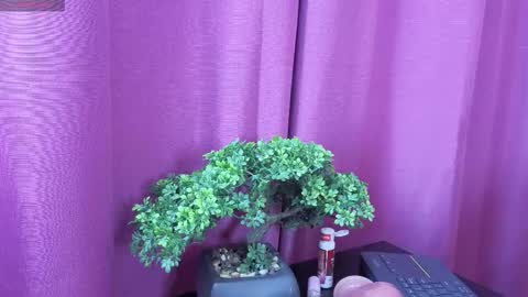 Samanta online show from November 27, 5:04 am