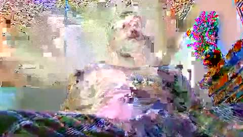 SamTheBully online show from January 15, 9:34 pm