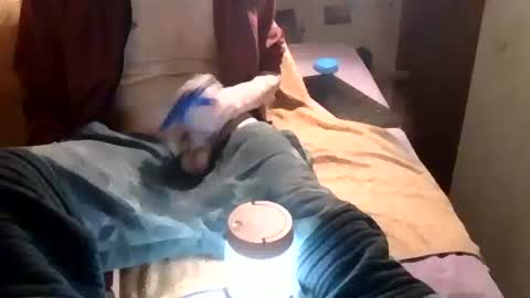 samueltal online show from March 7, 11:27 pm