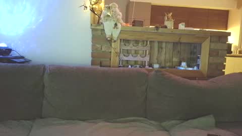 sanroom online show from December 2, 3:43 pm