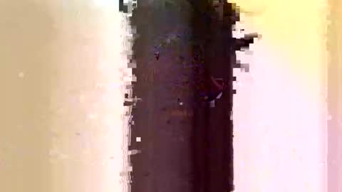 Sara online show from June 7, 3:11 am