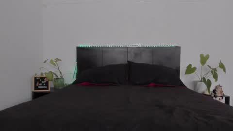 Girl next door online show from January 31, 8:12 pm