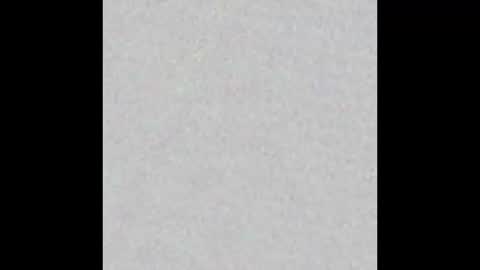 Sarissa online show from February 2, 10:55 am