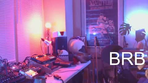 savagewaves online show from March 31, 4:24 am