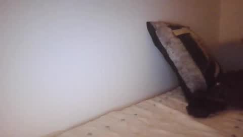 scotchwhieskie online show from March 8, 11:09 pm