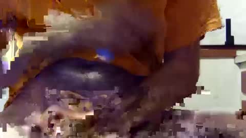 scoutiii online show from March 10, 10:39 am