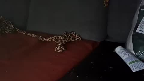 Julian Kinky Bi-guy online show from March 28, 9:54 am