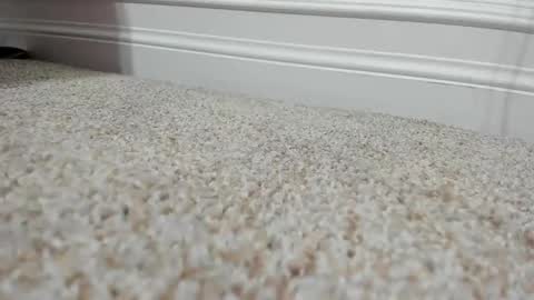 FerrariManni online show from December 9, 2:28 pm