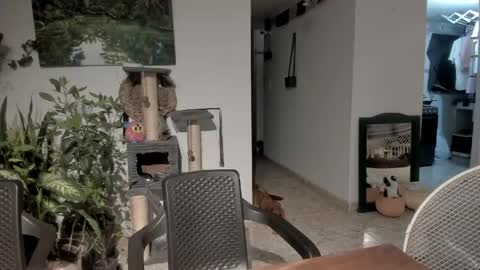         online show from April 22, 3:24 am