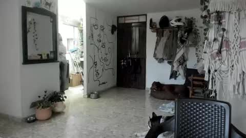         online show from February 7, 11:08 pm