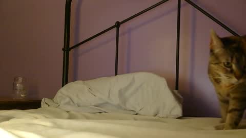 sexxxylibra10 online show from April 2, 9:33 pm