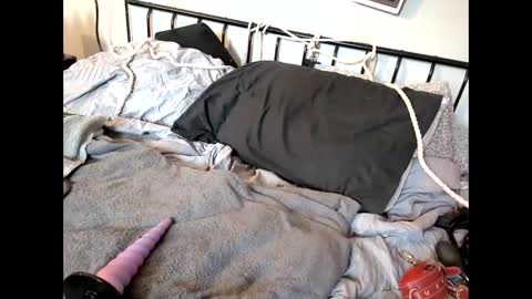 Kali  Brent online show from April 19, 6:10 pm