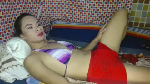 nikko online show from January 6, 9:19 am