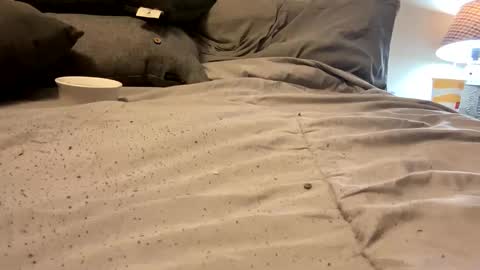 FunCpl4u online show from March 11, 9:15 pm