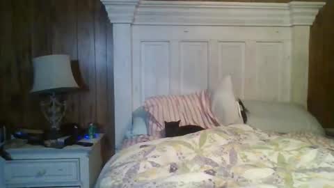 shanealf online show from April 22, 5:20 pm