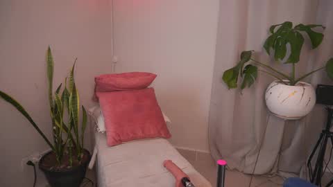 Sharlotte online show from December 20, 10:50 pm