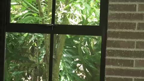 sharon baker online show from September 21, 5:17 pm