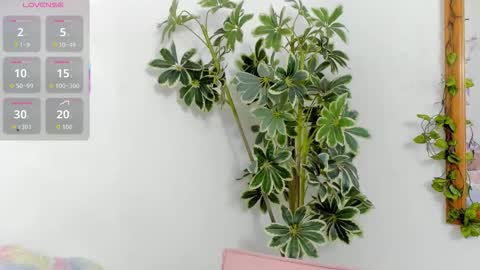 Shego  online show from December 20, 1:23 am