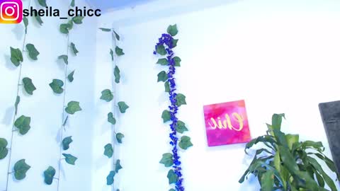 Snapshot of sheila_bigcok chatting on December 9, 10:52 pm SHEILA  online show from December 9, 10:52 pm