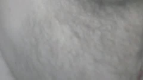 sherbearxrayghost online show from January 17, 9:23 pm