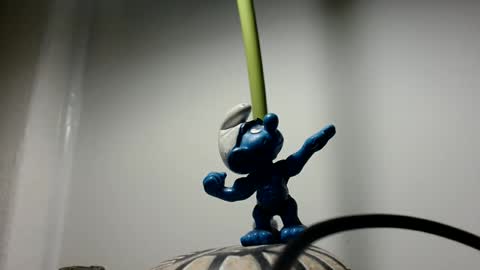 show_on_for_you online show from March 3, 10:50 pm