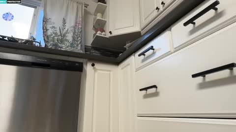 shygingerpnw online show from October 11, 12:59 am