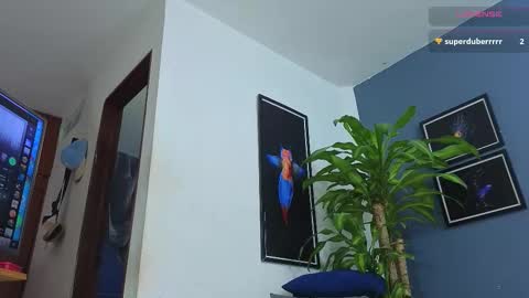 silvabranko online show from December 3, 2:34 am