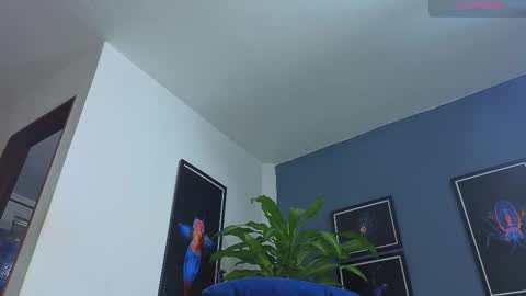 silvabranko online show from November 26, 12:08 am