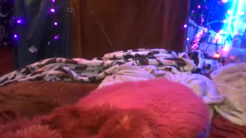 Siofra online show from December 19, 3:02 am