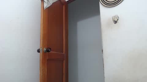 sirajones online show from March 2, 2:30 am