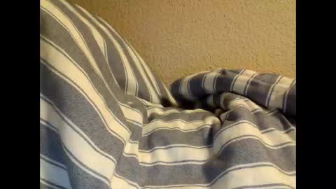 sircamalot45 online show from February 17, 1:36 am