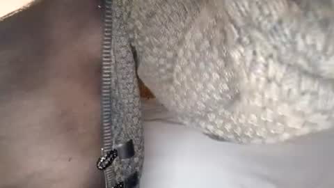 sissybottomcock online show from June 13, 12:10 am