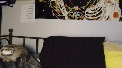 sk8t3rgurl online show from November 12, 5:10 am