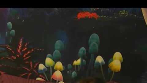 sk_bert online show from December 1, 3:59 am