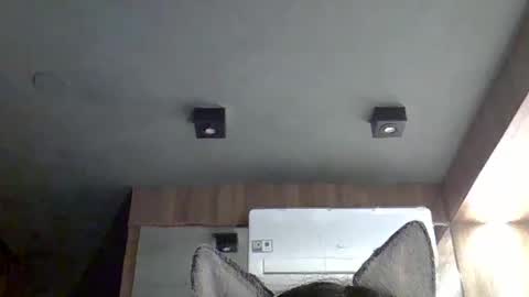 skinnykittencam online show from November 24, 1:04 am
