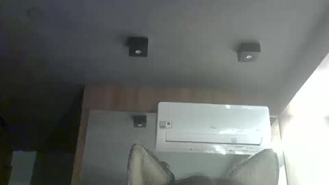 skinnykittencam online show from November 29, 2:19 am